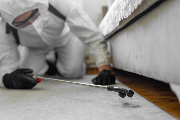 Professional Bed Bug Control technician working in Lewisburg, OH
