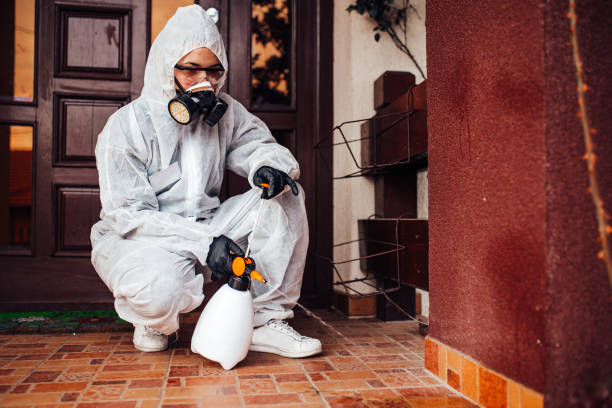 Reliable Bed Bug Control contractor in Lewisburg, OH by Nex Pest Control