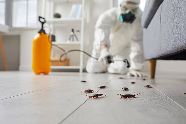 Trusted Cockroach Control service in Lewisburg, OH - Nex Pest Control