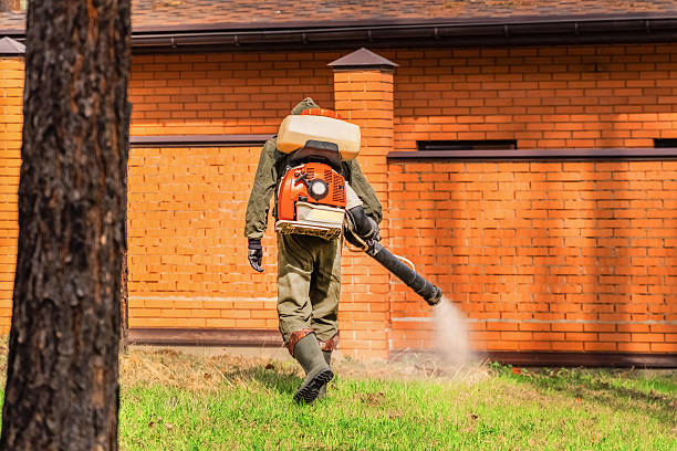 Trusted Bed Bug Control service in Lewisburg, OH - Nex Pest Control